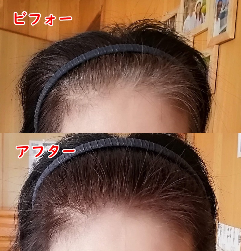 ヘアボーテ エクラ ボタニカル エアカラーフォーム ライトブラウン 80g