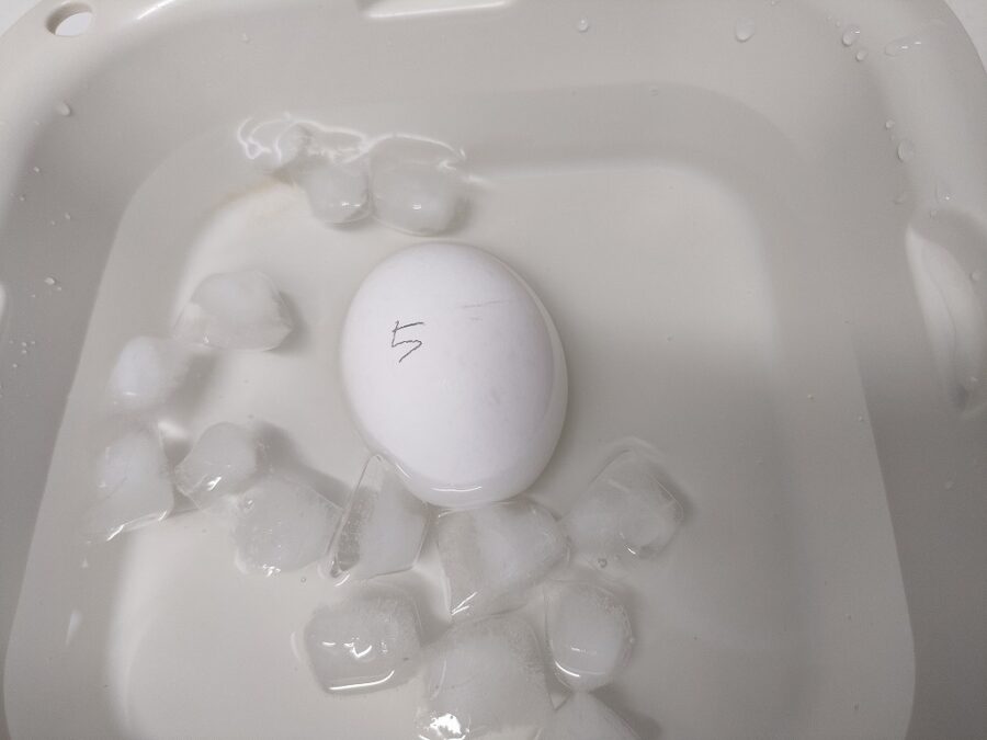 ゆで卵を冷水に入れている