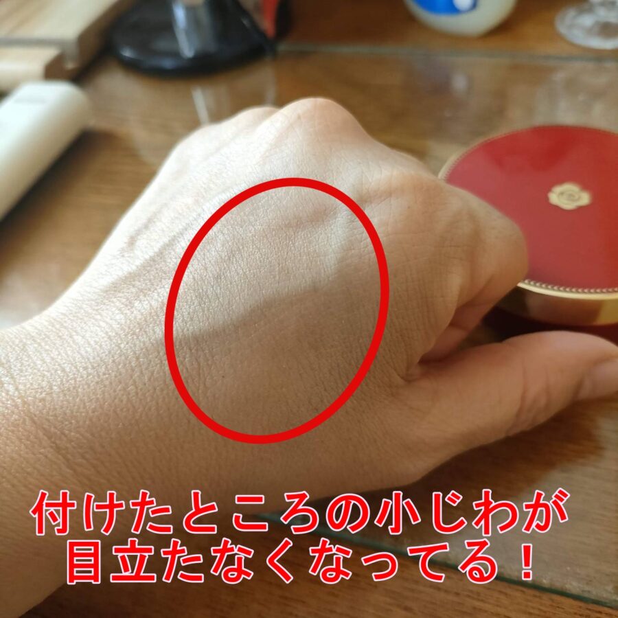 銀座ステファニープラセンテイストクッションファンデ