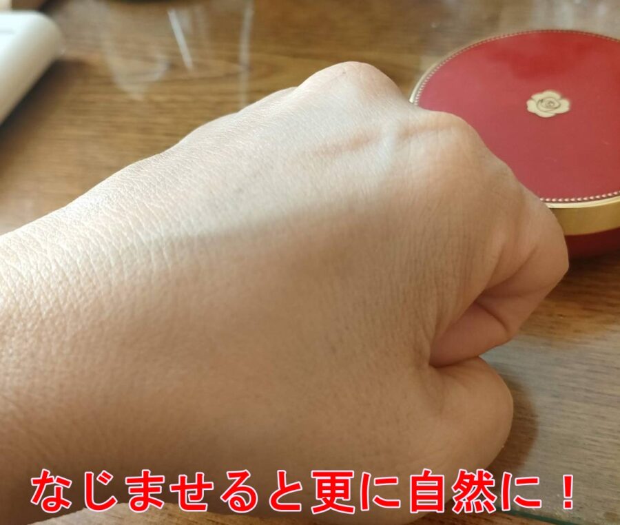 銀座ステファニープラセンテイストクッションファンデ