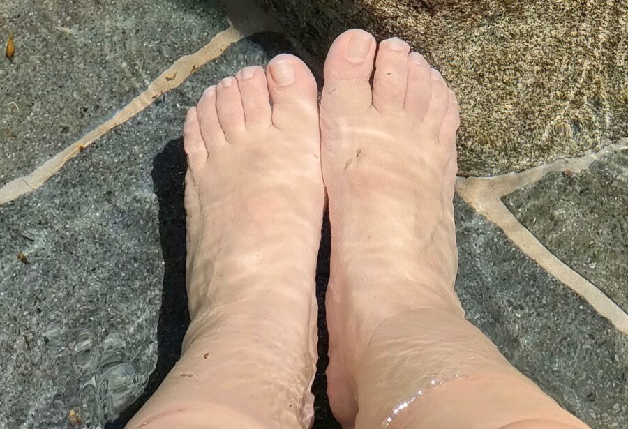 足の指